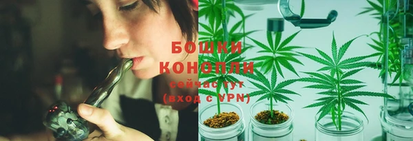шишки Богданович