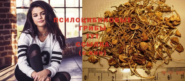 шишки Белоозёрский