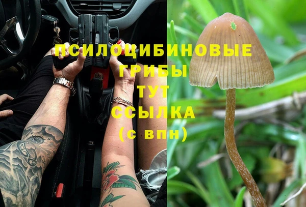 соль курить ск Армянск