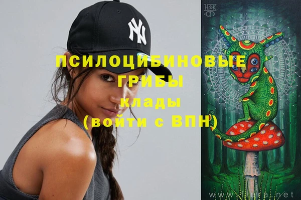 шишки Богданович
