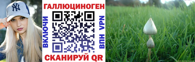 Галлюциногенные грибы GOLDEN TEACHER  MEGA зеркало  Жердевка 